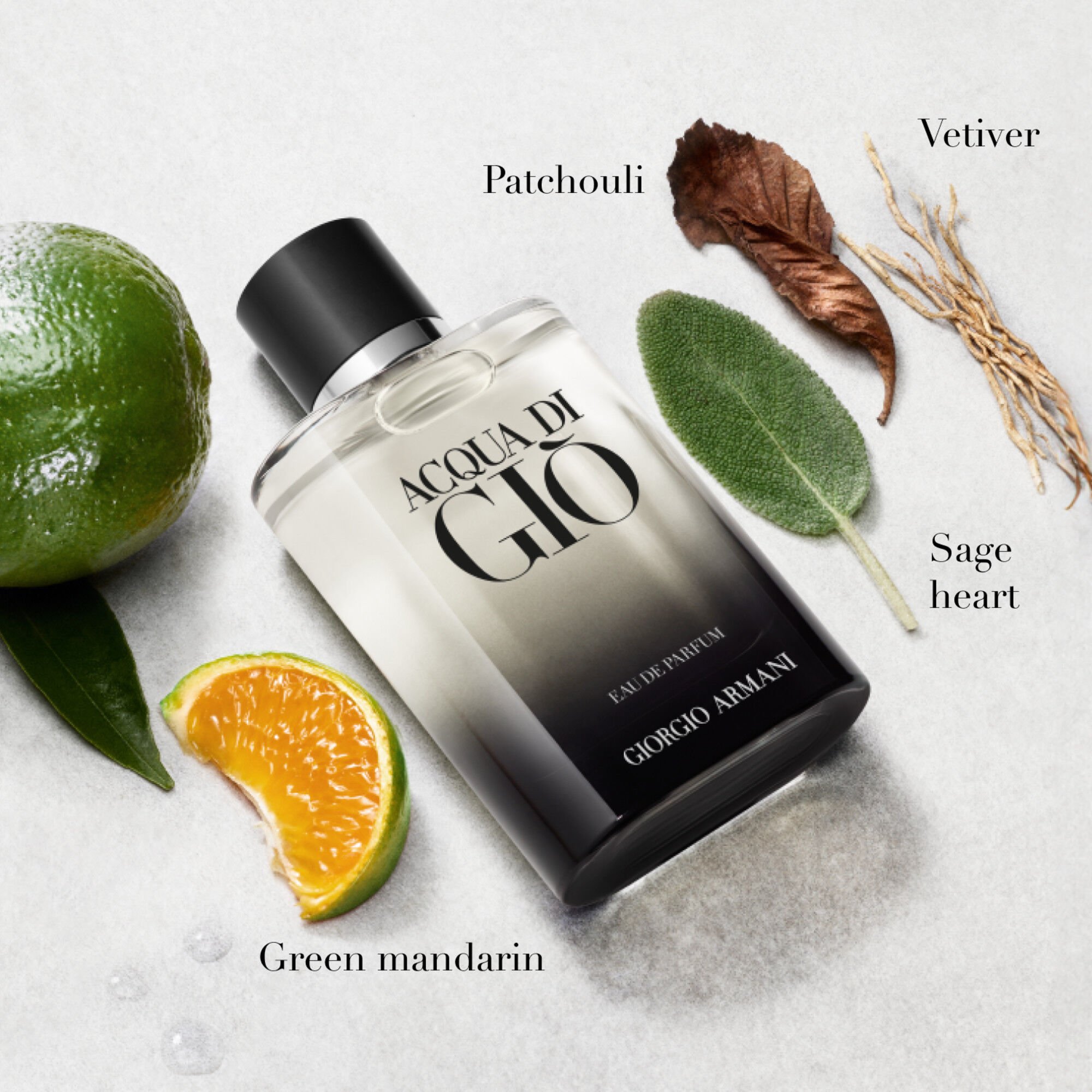 Acqua di Giò Eau de Parfum Men's Cologne - Armani Beauty